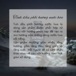 Tinh Dầu Phối Hương Các Dòng Nước Hoa Nổi Tiếng Aroma Story, Dùng Để Làm Nến Thơm, Xông Thơm Phòng